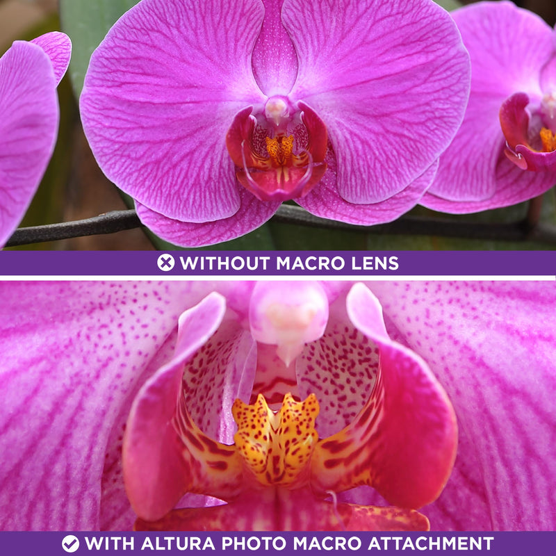 [AUSTRALIA] - 58MM 0.43x Altura Photo Professional HD Wide Angle Lens (w/Macro Portion) for Canon EOS 70D 77D 80D 90D Rebel T8i T7 T7i T6i T6s T6 SL2 SL3 DSLR Cameras 58MM 