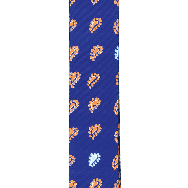 D'Addario Guitar Strap - Guitar Accessories - Electric Guitar Strap, Acoustic Guitar Strap, Acoustic Electric Guitar Strap & Bass Guitar Strap - Polyester - Paisley Critters