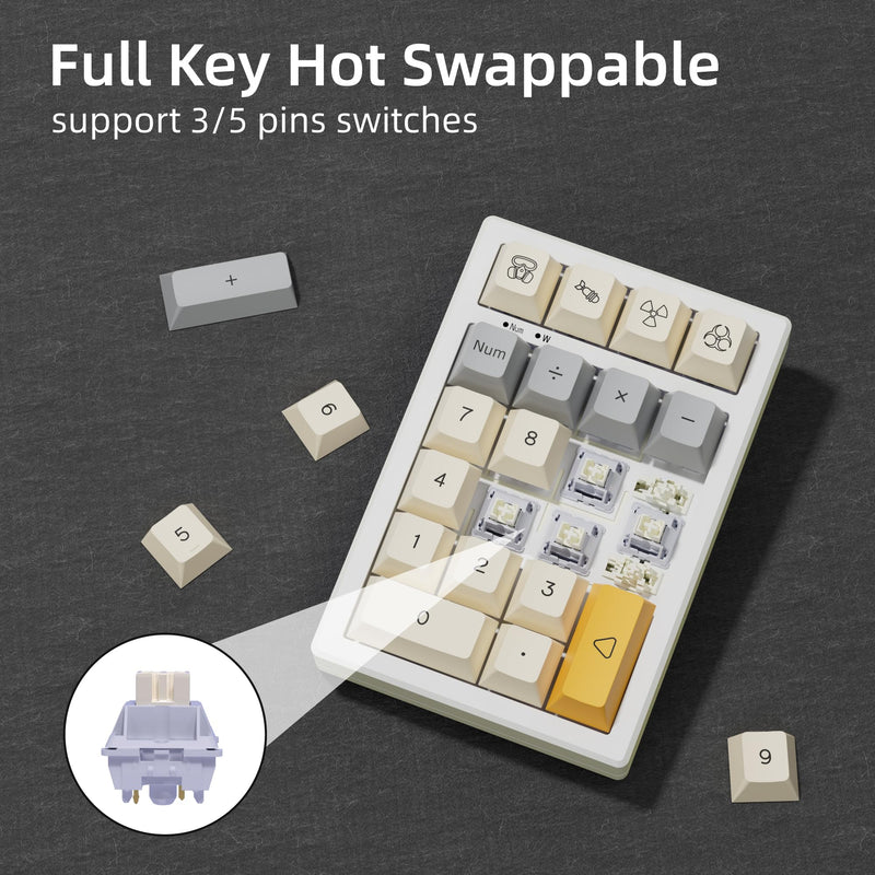 BOYI TD21 Hot Swap Numpad,21 Keys Mini Numpad Portable Keypad Bluetooth5.0/2.4G/Wired Number Pad Keyboard PBT Keycaps RGB Backlit Type-C Mini Keyboard (Heavy Industry XDA Keycaps) Heavy Industry XDA Keycaps