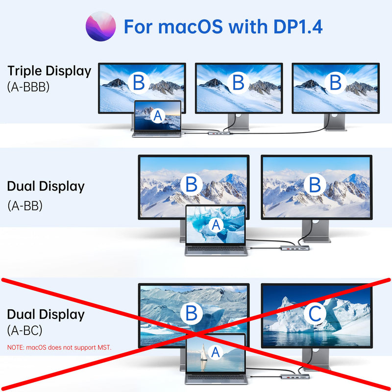 USB C Laptop Docking Station 3 Monitors - 13 in 1 USB C Hub with 2 HDMI+DisplayPort+10Gbps USB A/C, 6 USB, 100W PD, Ethernet, SD/TF, Audio, LIONWEI USB C Dock for MacBook/Dell/HP/Surface 13 IN 1(2 HDMI+DisplayPort)