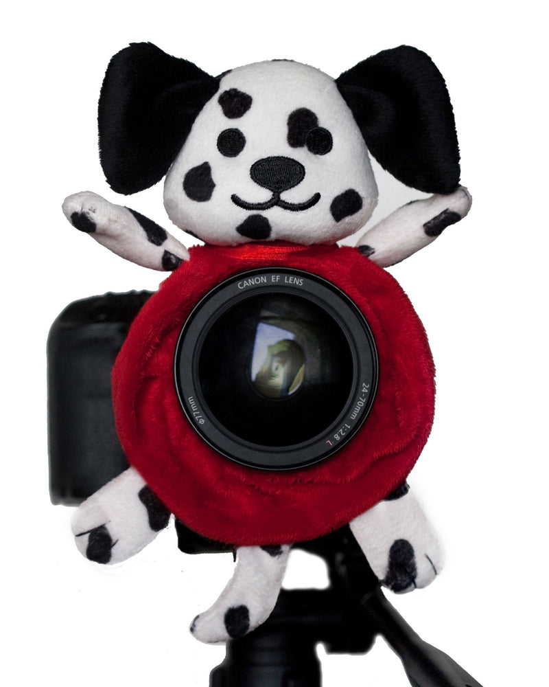Dalmatian Shutter Hugger DAL001 Dalmatian Shutter Hugge