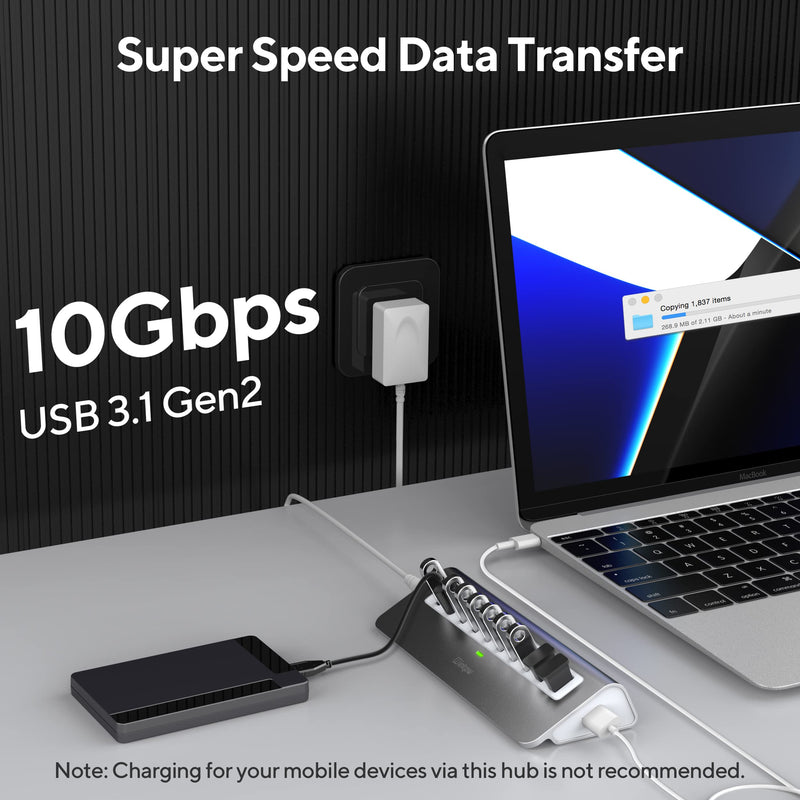 Powered USB Hub, intpw 10 Port USB 3.1 Hub with 10Gbps Data Transfer, 30W(12V/2.5A) Power Adapter, USB Type A and Type C Cable, Aluminum USB Splitter for Laptop, MacBook and Desktop Computer