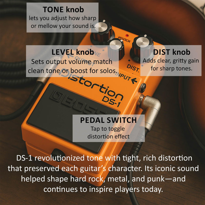 Boss DS-1 Distortion Bundle with Gearlux Power Supply, Instrument Cable, Patch Cable, Picks, and Austin Bazaar Polishing Cloth DS - 1 Bundle w/ Power Supply