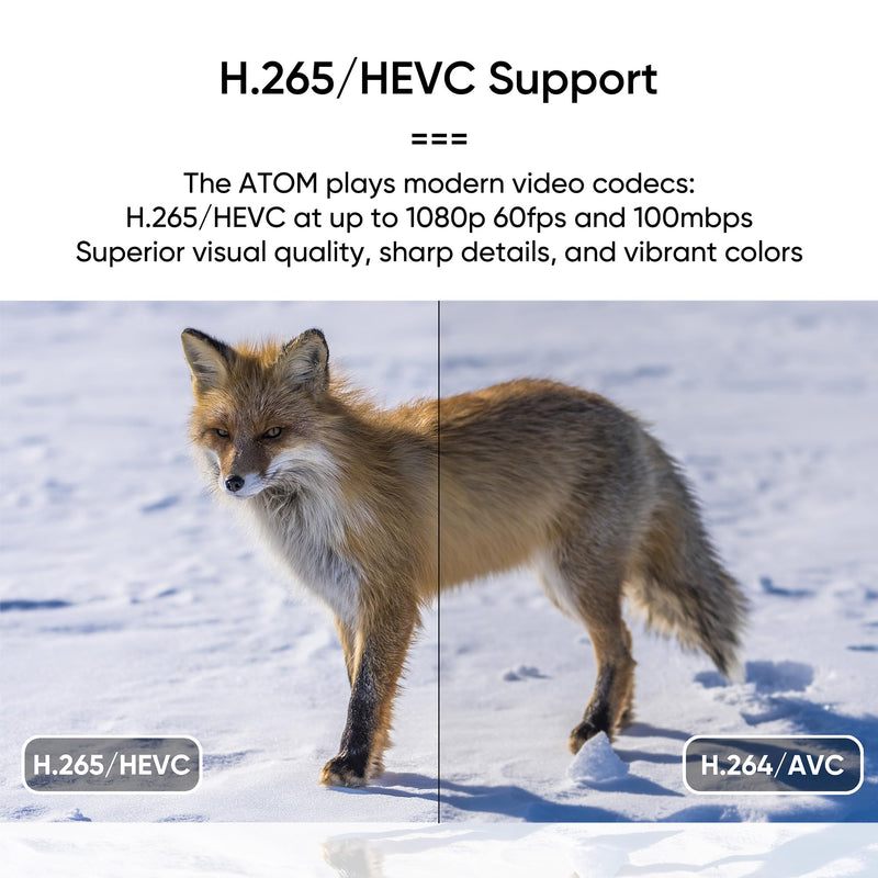 NEUMI Atom 1080P Full-HD Digital Media Player for USB Drives and SD Cards, HEVC/H.265, HDMI and Analog AV, Automatic Playback, Looping, Trigger Capability