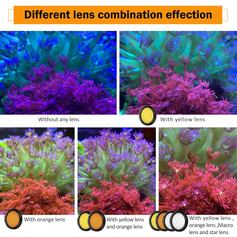 [AUSTRALIA] - Reef Coral Lens Phone Kits 5 Lenses Kit 1 Dust Shield Case 2 Lens Clips 