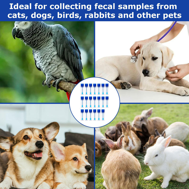Pack of 20 Chair Sample Tubes, Faecal Sample Tubes, Dog, Chair Catcher for Chair Sample, Chair Sample with Spoon, 15 ml Faecal Sample Tube Dog and Cat, Examination Tube for Pets