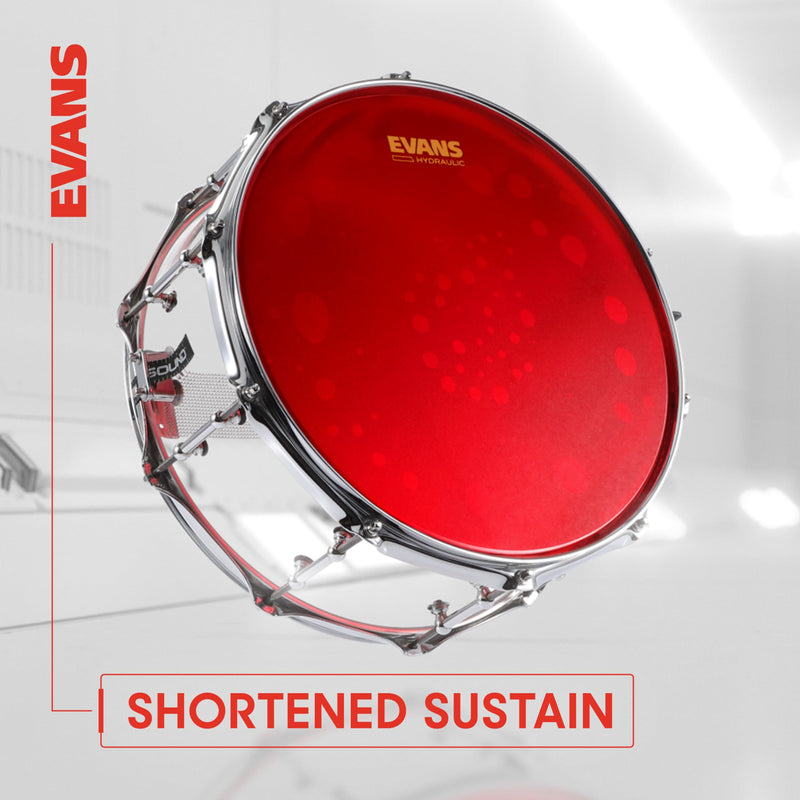 [AUSTRALIA] - Evans Drum Heads - Black Chrome Tom Drumhead, 16 Inch 16-Inch 