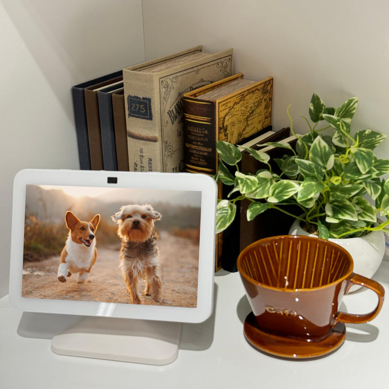 Sintron Adjustable Magnetic Stand Mount for Shᴏw 8 3rd gen, Smart Display Stand Holder with 360 Degree Rotation, Swivel & Tilt Function, Anti-Slip Base - White Compatible with iPhone 12 & newer models For Show 8