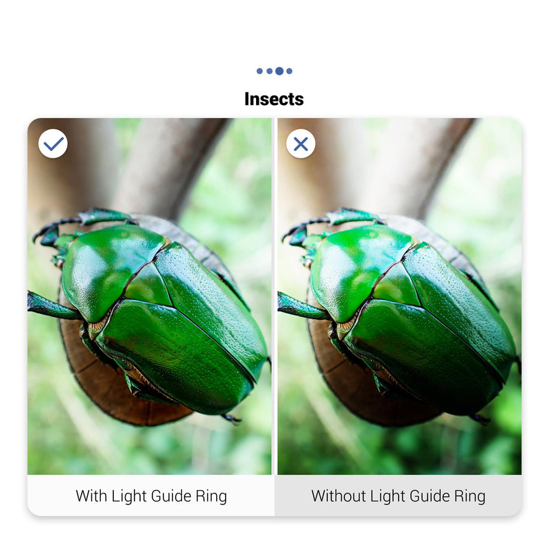 [AUSTRALIA] - JJC LED Light Guide Ring for Olympus Tough TG-7 TG7 TG-6 TG6 TG-5 TG5 TG-4 TG4 TG-3 TG3 TG-2 TG2 Digital Cameras, Macro Ring Light Flash Replaces Olympus LG-1 for Close Up Macro Photography Replaces LG-1 Light Guide 