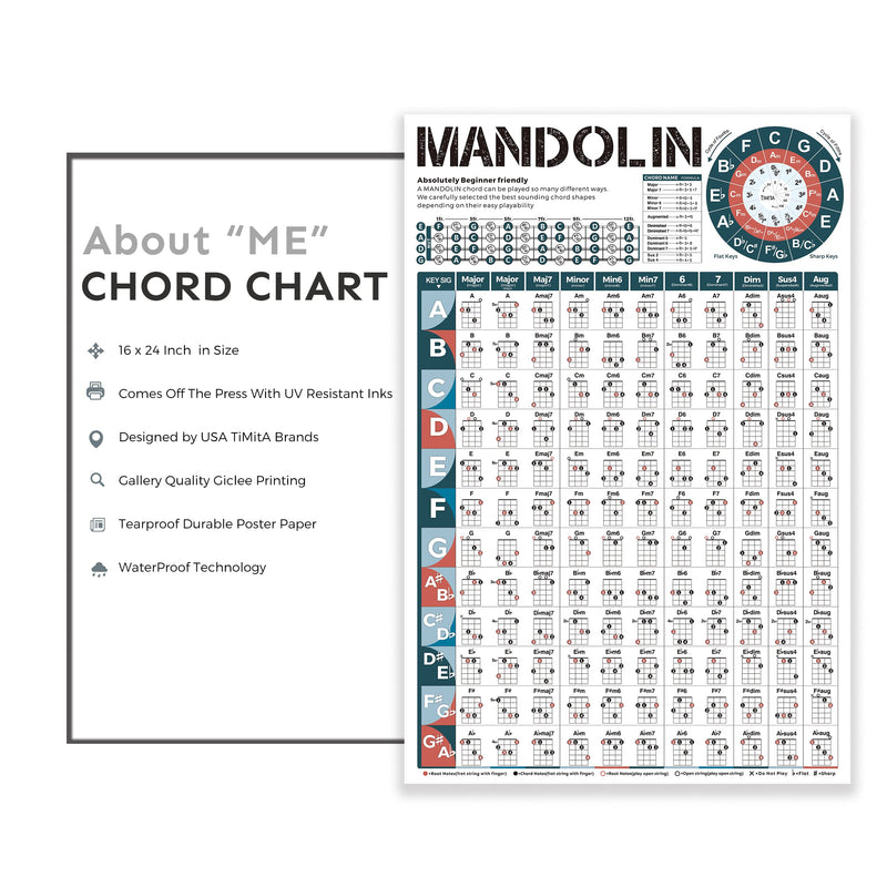 Mandolin Chord Chart Poster - 16''x24'' Wall Chart for Comprehensive Reference Guide of Easy Chord Diagrams, Fingerings Practice, Circle of Fifths for Beginner, Perfect Mandolin Learning Aid