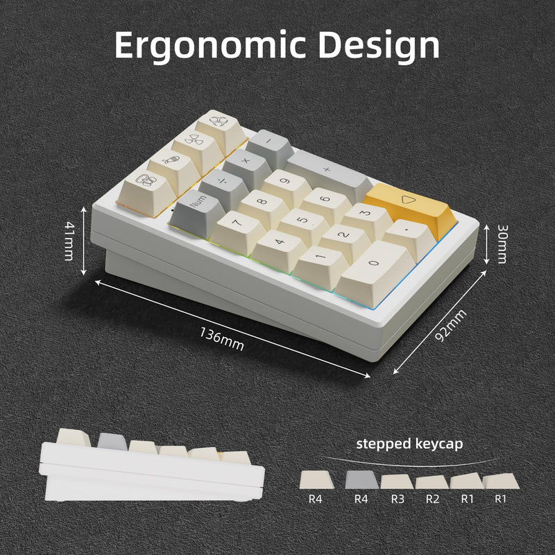 BOYI TD21 Hot Swap Numpad,21 Keys Mini Numpad Portable Keypad Bluetooth5.0/2.4G/Wired Number Pad Keyboard PBT Keycaps RGB Backlit Type-C Mini Keyboard (Heavy Industry XDA Keycaps) Heavy Industry XDA Keycaps