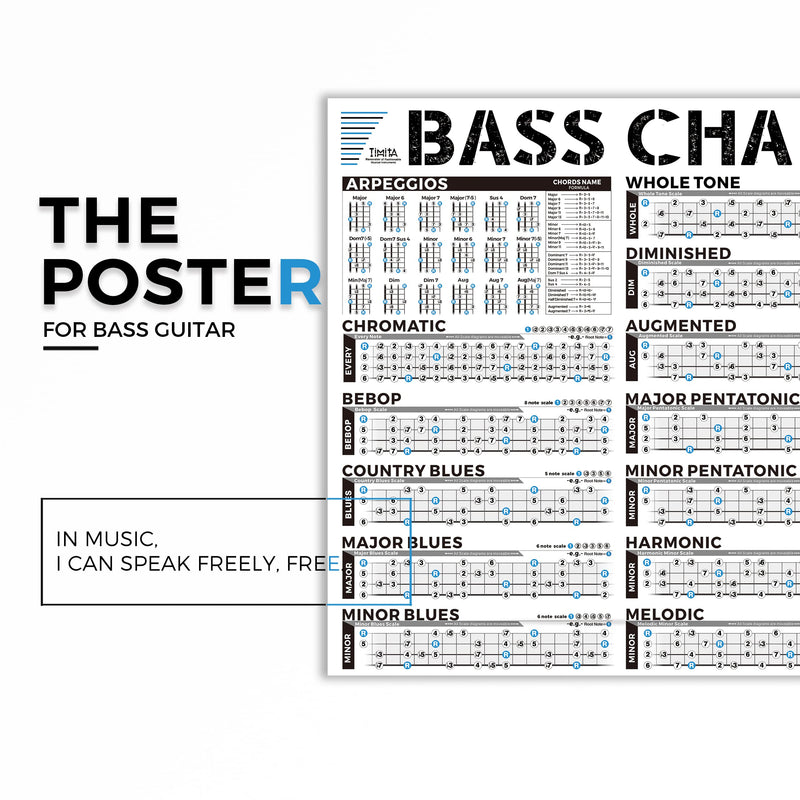 Bass Scales Modes Chart of Pentatonic | Blues | Harmonic Minor | Melodic Minor & Diatonic Mode, Basses Guitar Wall Poster for Beginners Adult or Kid Bass Guitar Poster
