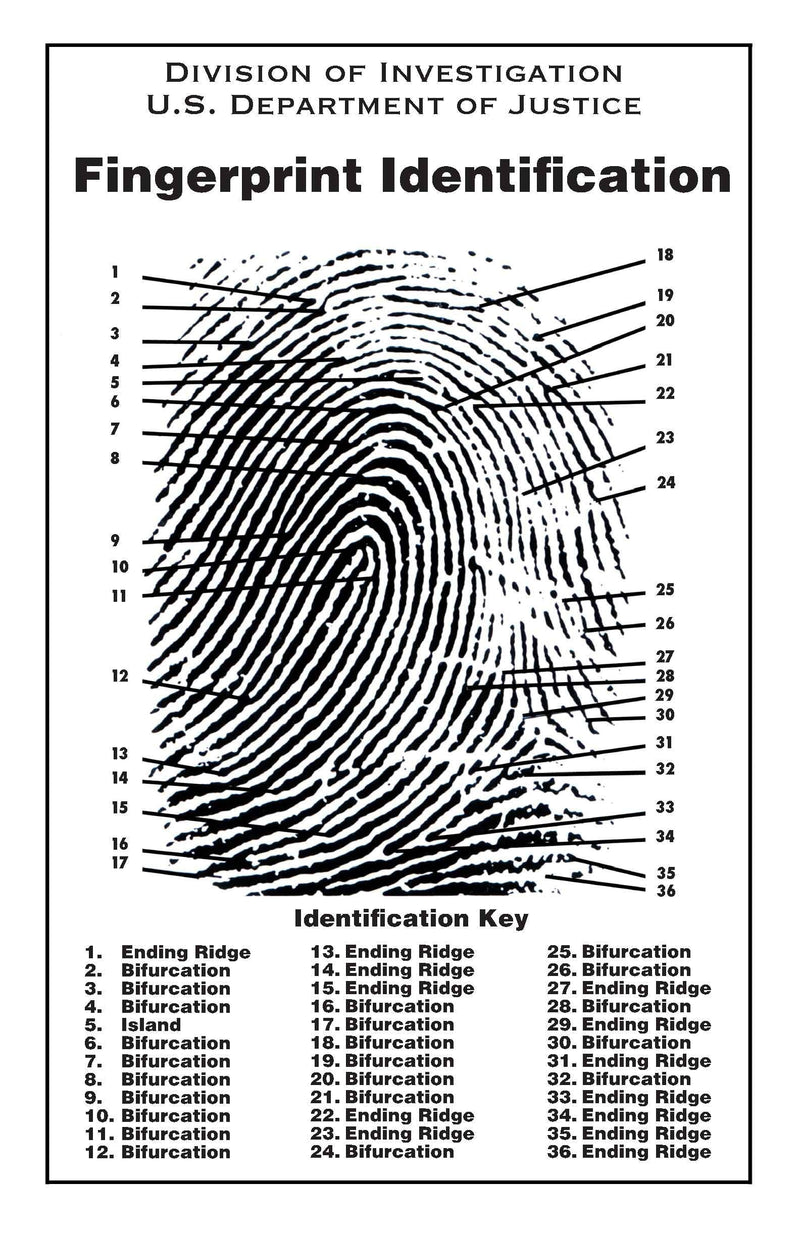 Crime Scene Fingerprint Chart, Poster Size 24" by 36"