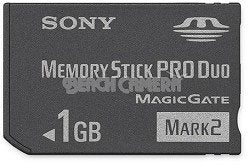 Sony 1 GB Memory Stick PRO Duo Flash Memory Card MSMT1G