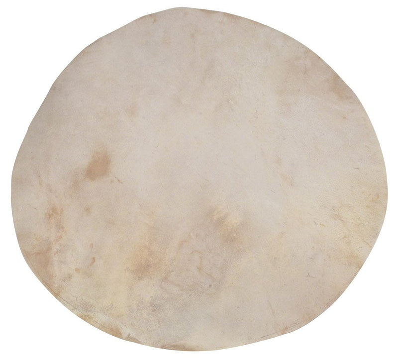 Golden Gate P-198 Flat Goatskin Banjo Head - 16"