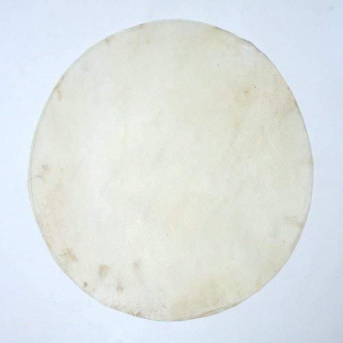 [AUSTRALIA] - Doumbek Goat Skin Head, Hawkdancing Goatskin 10 In. Round From Pakistan 