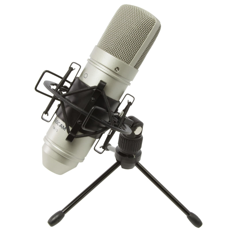 Tascam TM-80 Large Diaphagm Condenser Microphone,Silver