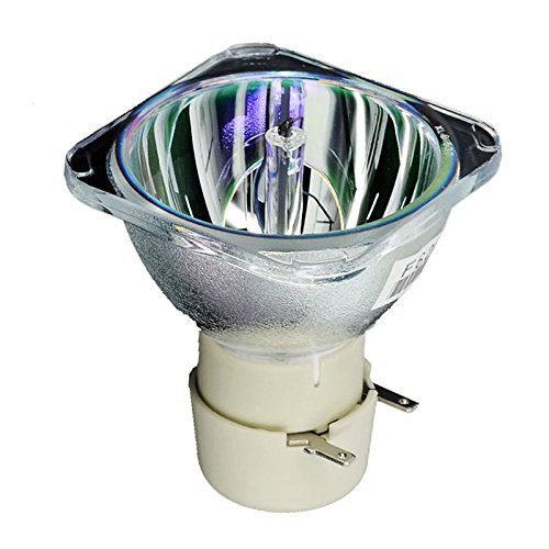 AWO Original Projector Lamp Bulb BL-FU240A / 5J.JFH05.001 / 5J.JCJ05.001 / 5J.JEC05.001 for OPTOMA DH1011,EH300,HD131X,HD25,HD25-LV,HD2500,HD30,HD30B,HD39DARBEE for BenQ TH530,MH530,MX704,MW705