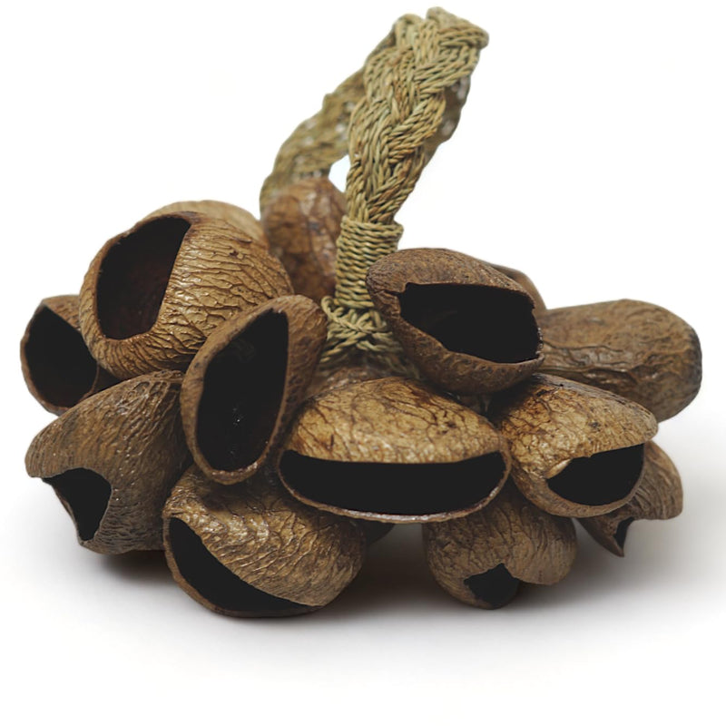 GMP Pangi Seed Shell Shaker/Nutshell Percussion Sound Effect, Comes with Rope Handle/Bamboo Handle, Authentic Traditional Rattle (Natural) Rope-Handle