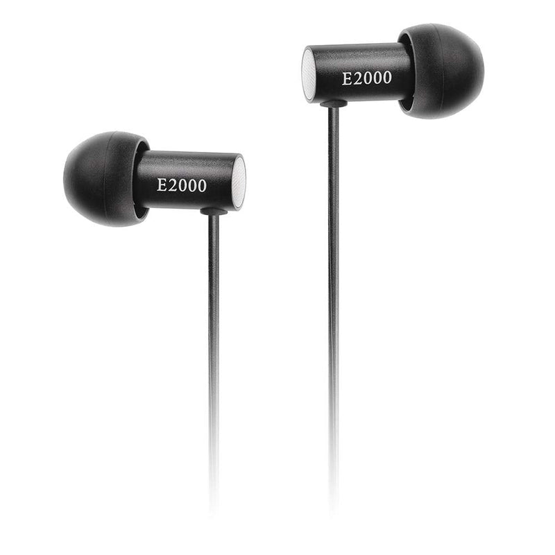 Final Canal Type Earphone E2000 FI-E2DALã€Japan Domestic Genuine productsã€‘ Black
