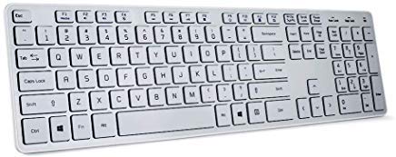 BFRIENDit Wireless Keyboard Ultra - Quiet Chocolate Keys 2.4GHz Connection Slim Wireless Computer Keyboard for Windows 10/8/7/Vista, Microsoft & PC, Smart TV, RF1430K - White