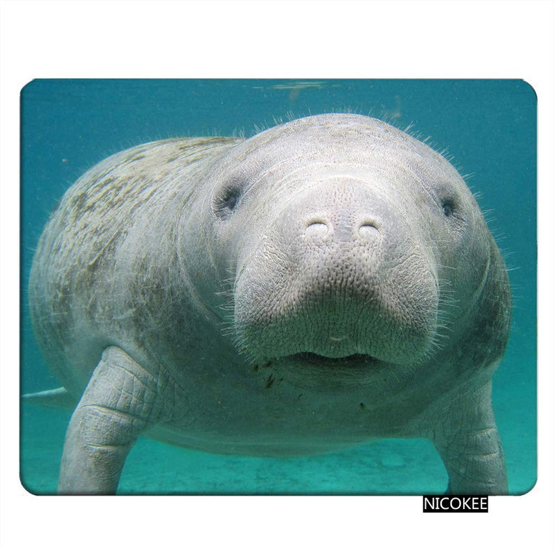 NICOKEE Manatee Rectangle Gaming Mousepad Cute Manatee in The Water Mouse Pad Mouse Mat for Computer Desk Laptop Office 9.5 X 7.9 Inch Non-Slip Rubber M01-033
