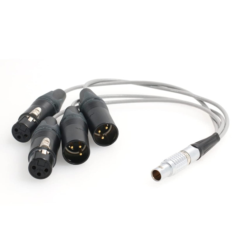 Eonvic 10 Pin to 2x3 pin XLR Atomos Breakout Audio Input Output Cable for Shogun Monitor Recorder straight 10pin