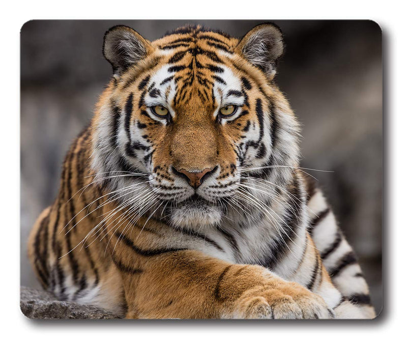 Ice Rabbit Mouse Pad Siberian Tiger Gaming Personality Rectangle Mouse Pads Non-Slip Rubber Mousepad Ir-08