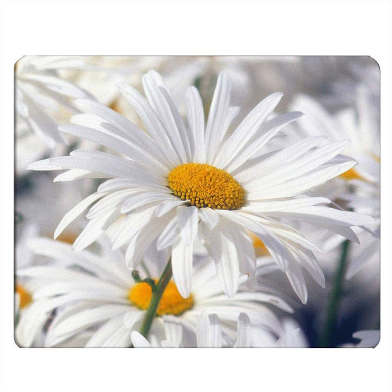 Nicokee Daisy Gaming Mousepad White Pure Daisy Flower Mouse Pad Mouse Mat for Computer Desk Laptop Office 9.5 X 7.9 Inch Non-Slip Rubber M02-016