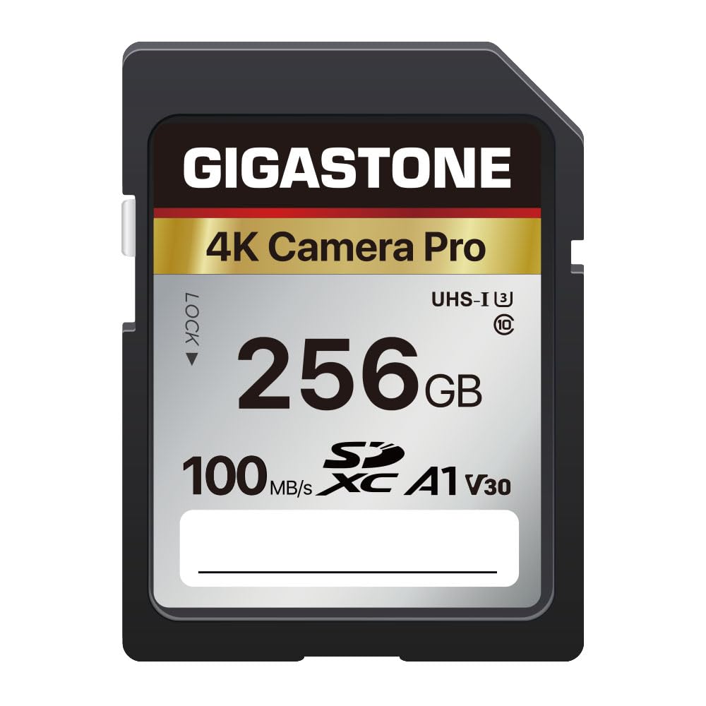 Gigastone 256GB SDXC Memory Card 4K Pro Series Transfer Speed Up to 100MB/s Compatible with Canon Nikon Sony Camcorder, A1 V30 UHS-I Class 10 for 4K UHD Video 256 GB