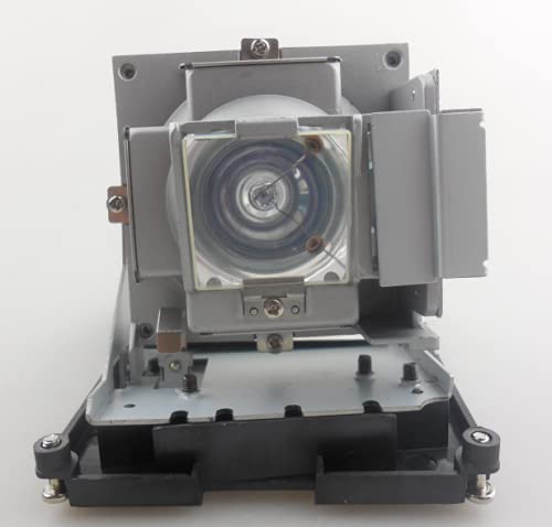 CTLAMP Compatible BL-FS300C Replacement Projector Lamp Bulb with Housing Compatible with OPTOMA TH1060P TX779P-3D D-952HD