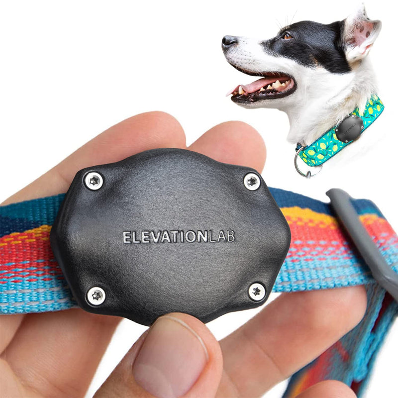 TagVault™ AirTag Dog Collar Mount - IP69 Waterproof, Doesn't Dangle, Fits All Width Collars | Elevation Lab Single