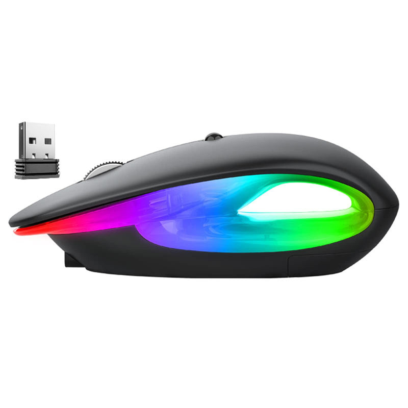 Dancesoul LED Rechargeable Wireless Mouse, 2.4G Noiseless Mouse with USB Receiver and RGB Light,Portable Computer Mice for PC, Tablet, Laptop-Black Mouse