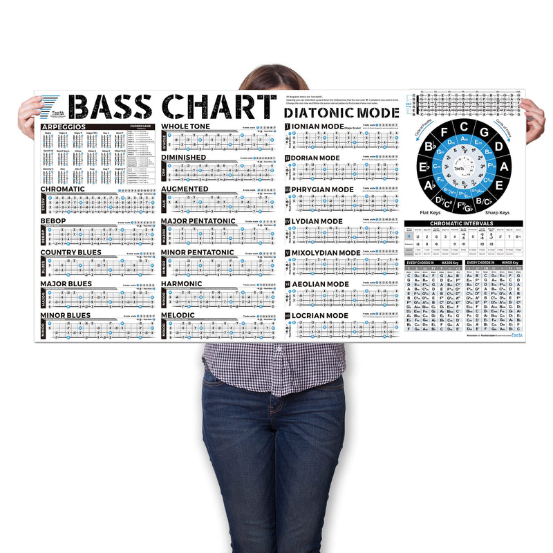 Bass Scales Modes Chart of Pentatonic | Blues | Harmonic Minor | Melodic Minor & Diatonic Mode, Basses Guitar Wall Poster for Beginners Adult or Kid Bass Guitar Poster