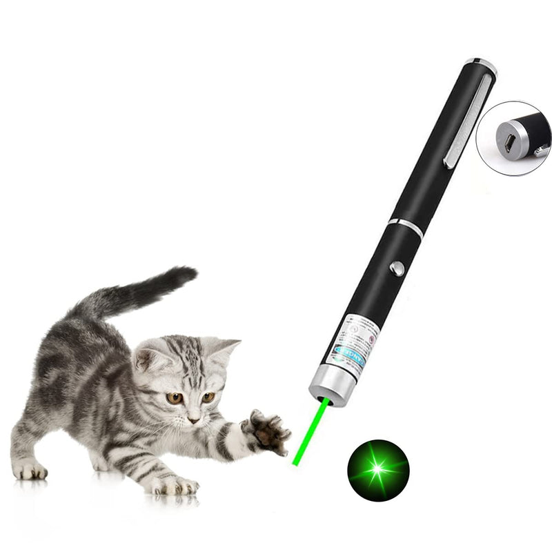Pointer for Cats Toys USB Rechargeable Pet Interactive Toys with Green Laser Pointer Remotes for Indoor Classroom Interactive Teaching (Green, USB 1 Pack)