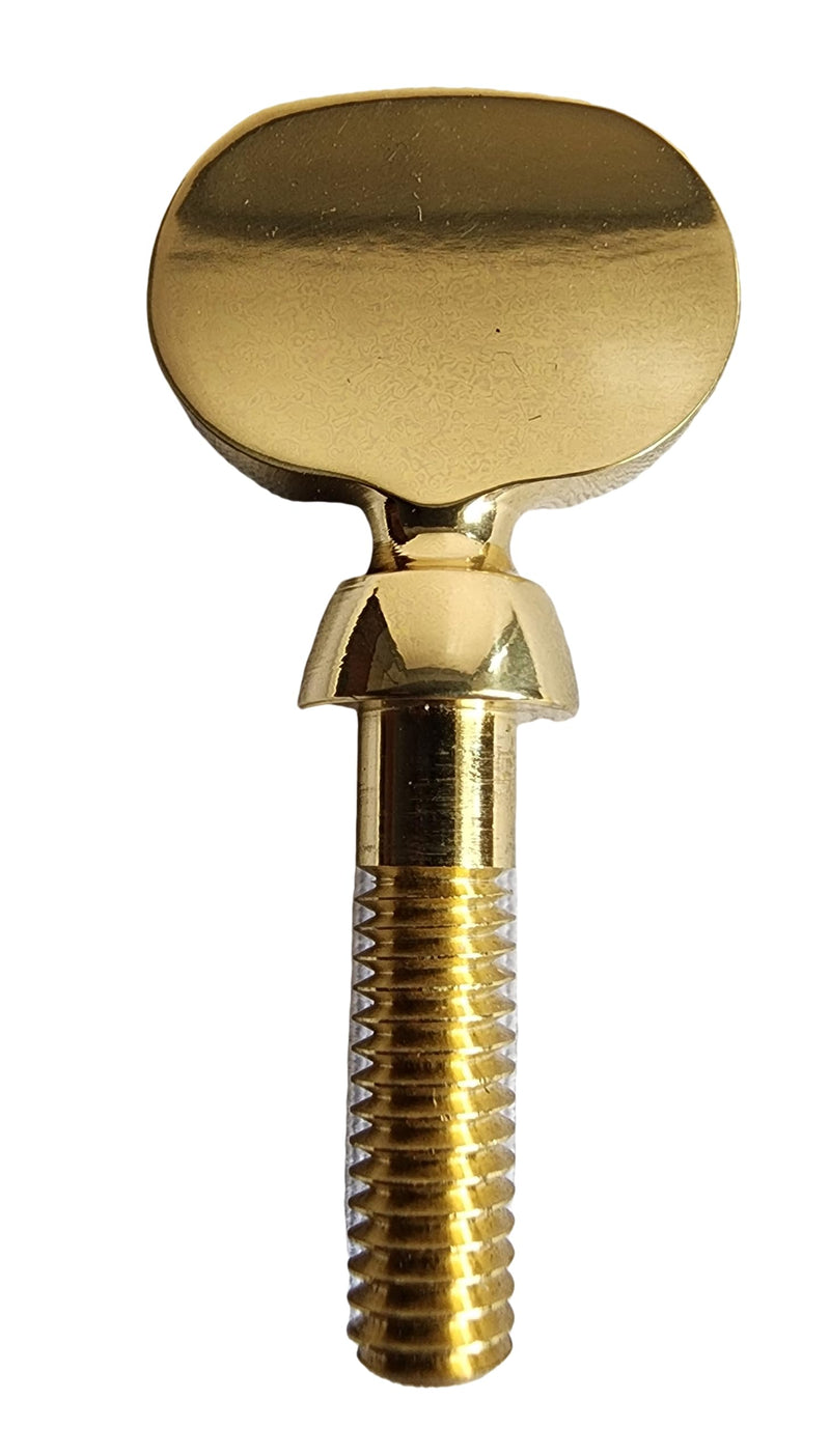 Saxophone Neck Receiver Tightening Screw for Yamaha Instruments - Gold Lacquer (N1541691)