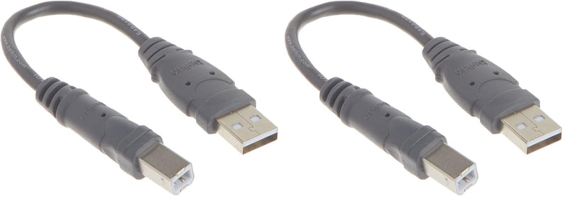 Belkin Components USB A/B Device Daisy Chain for USB Hub (6 Inches) (Pack of 2) 1 Count (Pack of 2)