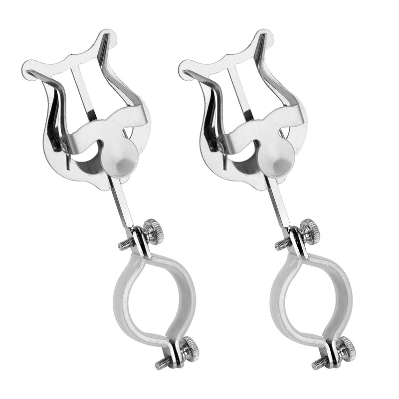 2pcs Clarinet Lyre, Clarinet Sheet Music Clip Marching Band Holder Clarinet Lyre Clamp for Practicing Beginners Marching Band