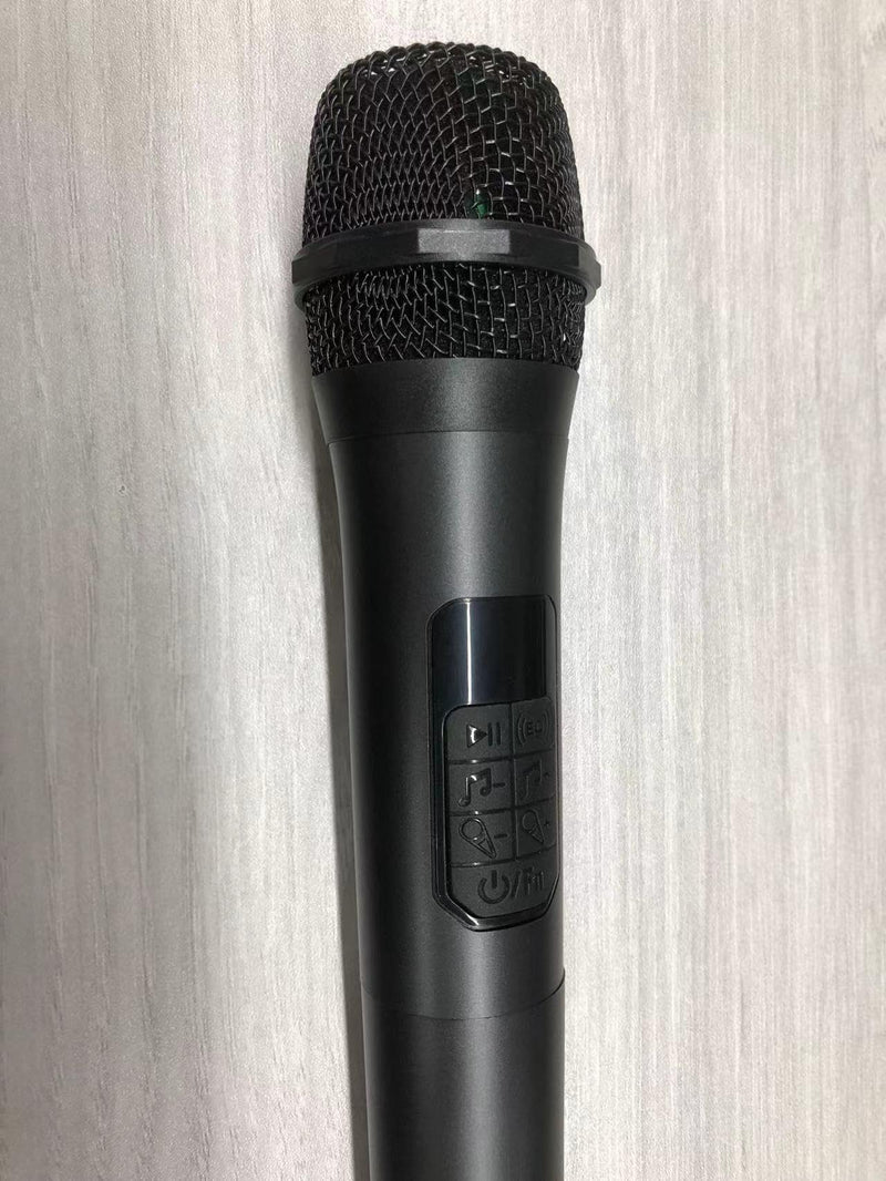 BIGASUO Microphone 2 for Karaoke Machine (No Battery)