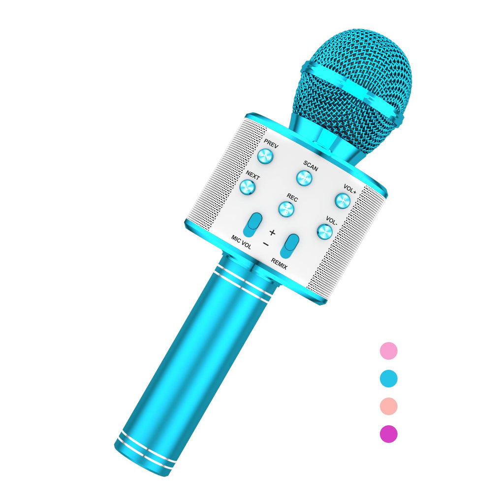 Karaoke Microphone Player