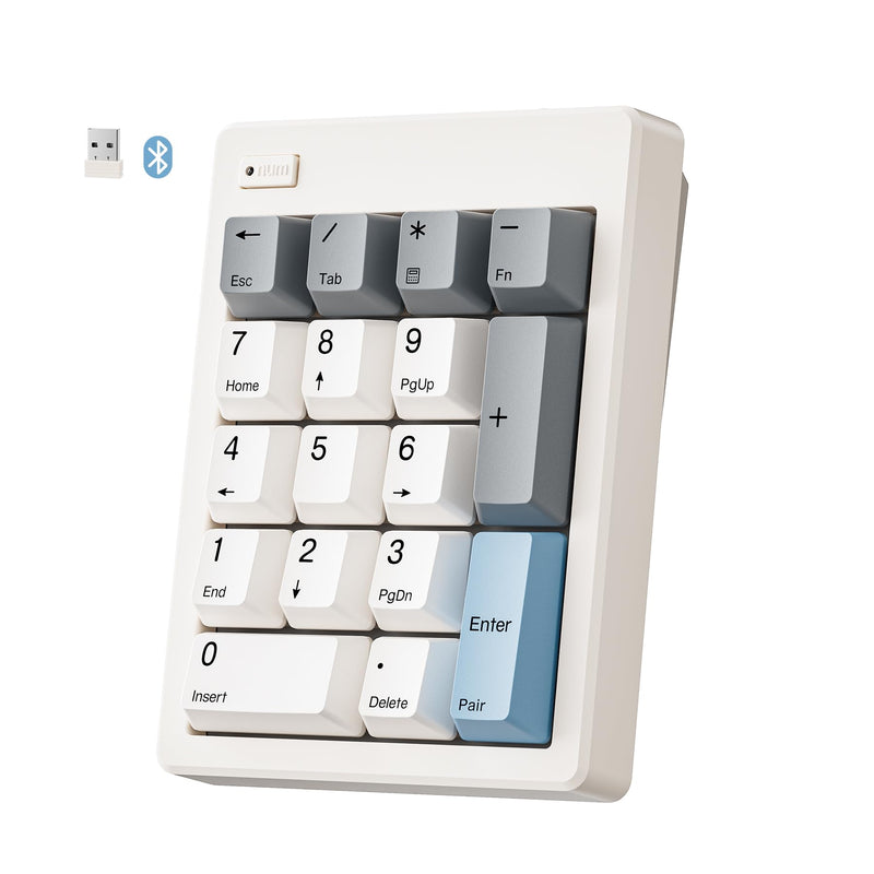 Kisnt FD17 Wireless Mechanical Numpad for Excel Financial Data Entry | Bluetooth 5.0 & 2.4G Dual Mode Connection, 17 keys Hot Swappable with PBT Keycaps, Ideal for Laptops PC Compact Keyboards Beige