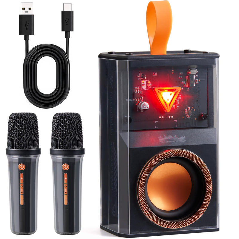 Karaoke Machine for Kids & Adults, Portable Bluetooth Mini Karaoke Speaker with 2 Wireless Microphone and Lights, Birthday Gifts for Girls & Boys, Toys for Girls, Family Home Party (Black) BLACK