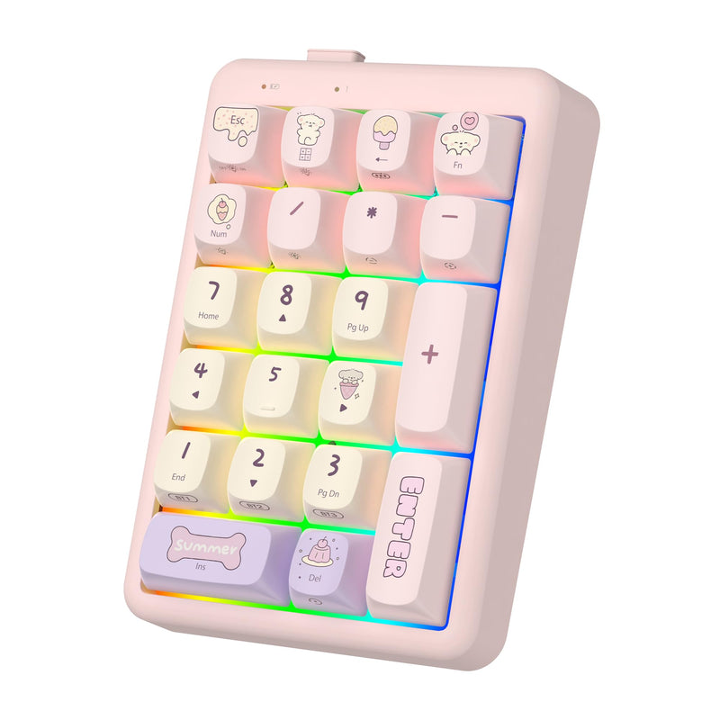 Wireless Number Pad Keyboard Mechanical Numpad Numeric Keypad for Laptop | Bluetooth Creamy 10 Key RGB Portable Cute Financial Accounting Rechargeable for Windows, PC, BT5.0/2.4G, Pink S21