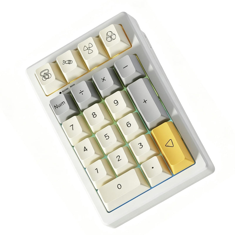 BOYI TD21 Hot Swap Numpad,21 Keys Mini Numpad Portable Keypad Bluetooth5.0/2.4G/Wired Number Pad Keyboard PBT Keycaps RGB Backlit Type-C Mini Keyboard (Heavy Industry XDA Keycaps) Heavy Industry XDA Keycaps