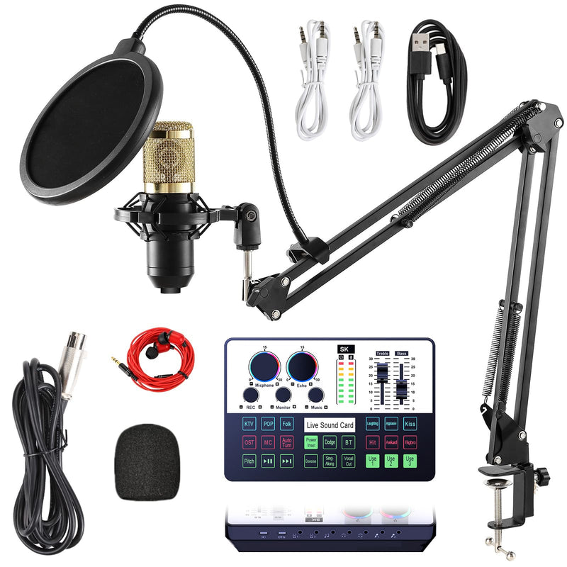 F998 Podcast Equipment Bundle, Audio Interface & BM888 Recording Studio Microphone, Professional Live Sound Card w/Dj Mixer Effects & Voice Changer for Live Streaming Gaming YouTube TikTok