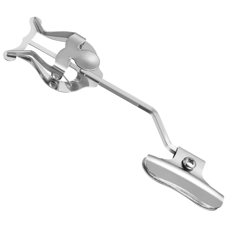 BESPORTBLE Trumpet Trombone Lyre Music Clip Holder Silver Clamp Sheet Music Stand for Marching Musicians Compact Design Lightweight Durable Accessory for Trumpet