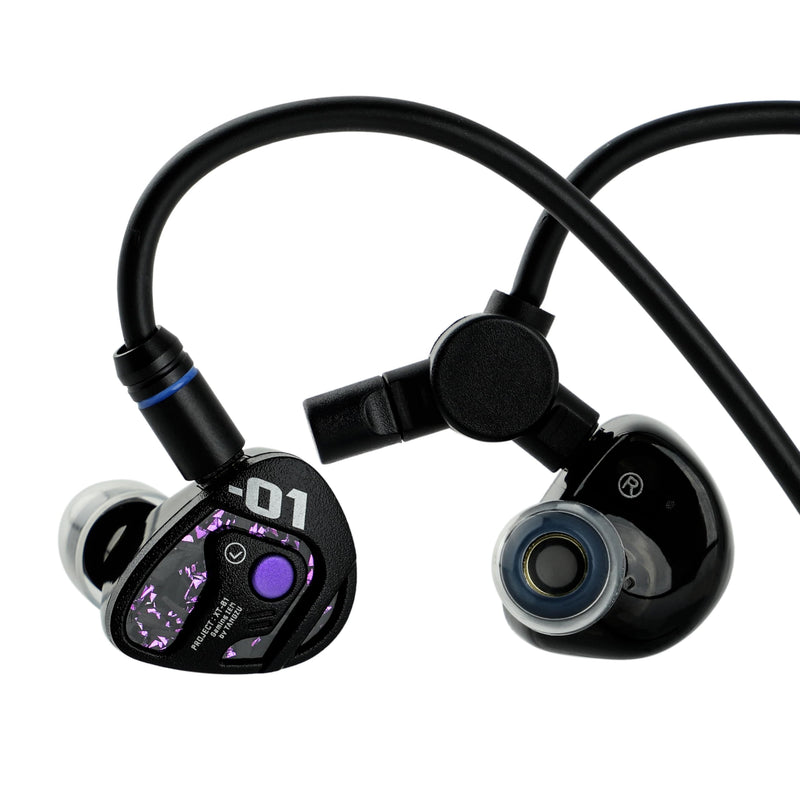 Linsoul TANGZU Xue Tao Gaming IEMs, HiFi Wired Earbuds with Detachable Mic,10mm Glass Diaphragm Driver in Ear Monitor,with 2Pin Detachable OFC Cable for Audiophile Gamers (TypeC MIC) TypeC MIC