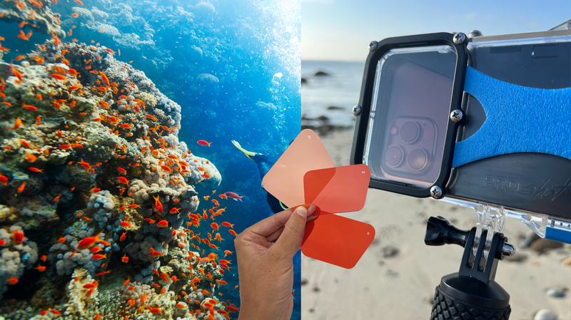 Red Filter 3 Pack for Underwater Photography - Compatible Only with The ProShot Dive & ProShot Touch 2.0 Case. Red, Magenta, and Pink Filter Included. Enhance Your Underwater Photos & Videos.