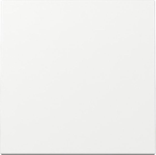 Gira 329603 Rocker Switch Pure White Glossy