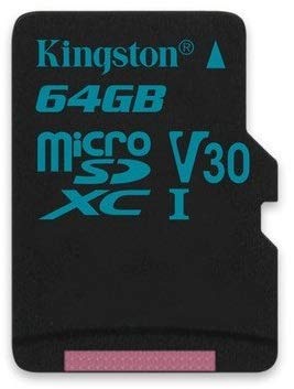 Kingston 64GB SDXC Micro Canvas Go! Memory Card and Adapter Works with GoPro Hero 7 Black, Silver, Hero7 White Camera (SDCG2/64GB) Bundle with (1) Everything But Stromboli TF and SD Card Reader 64GB Class 10